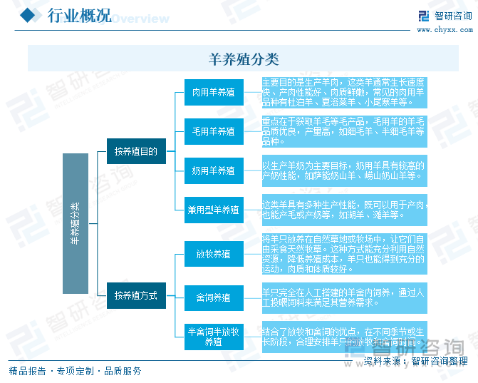 2025年中国羊养殖行业市场政策、产业链、市场现状、竞争格局及趋势研判：地域性特征明显集中度不高[图](图1)