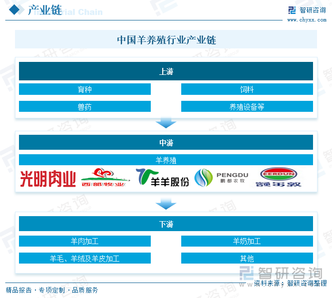 2025年中国羊养殖行业市场政策、产业链、市场现状、竞争格局及趋势研判：地域性特征明显集中度不高[图](图3)
