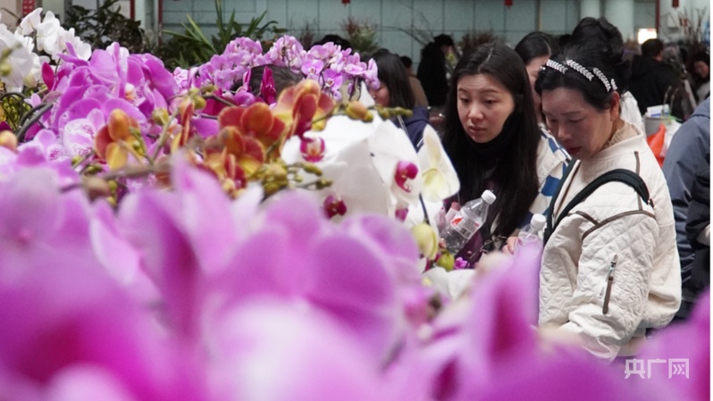【高质量发展看中国】云南：“美丽”经济绽放生活像花儿一样美(图6)