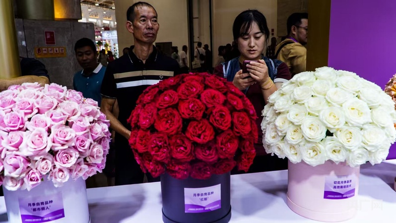 【高质量发展看中国】云南：“美丽”经济绽放生活像花儿一样美(图5)