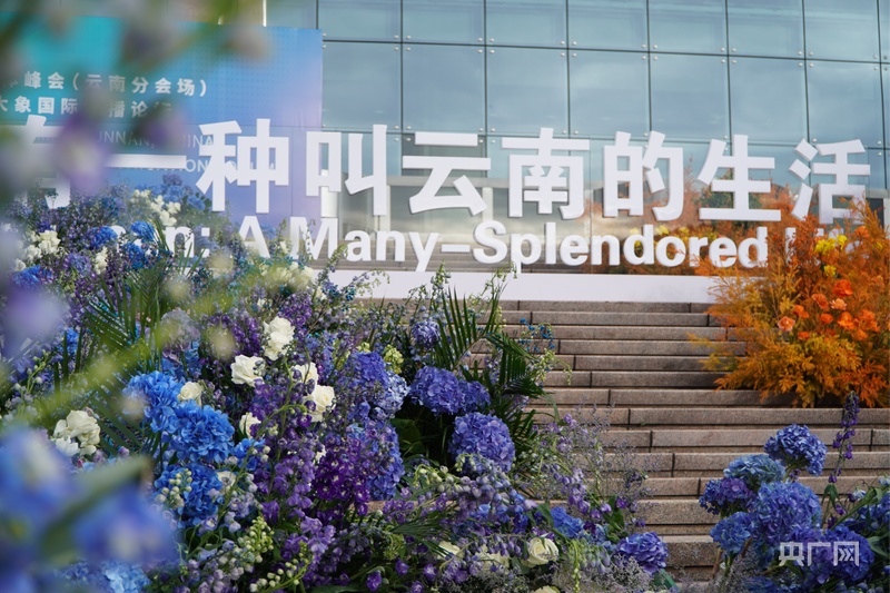 【高质量发展看中国】云南：“美丽”经济绽放生活像花儿一样美(图1)