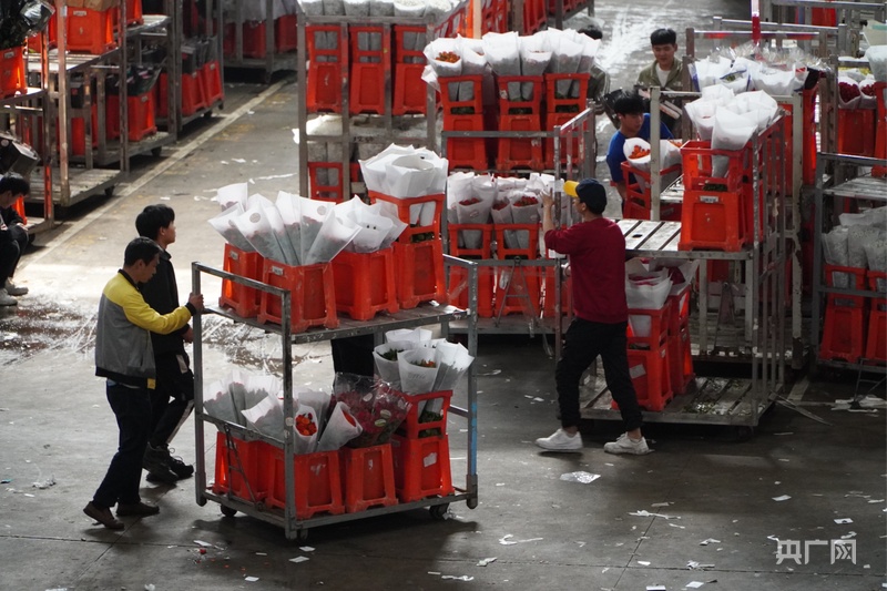 【高质量发展看中国】云南：“美丽”经济绽放生活像花儿一样美(图4)