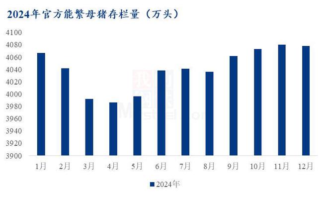 Mysteel解读：牧原股份2024年报出栏7160万头背后的成本革命(图2)