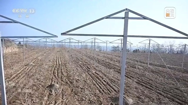 卖产品→卖品牌看延安如何把苹果树变成“摇钱树”(图4)