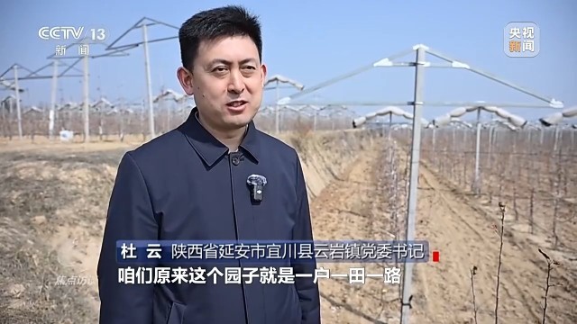 卖产品→卖品牌看延安如何把苹果树变成“摇钱树”(图7)