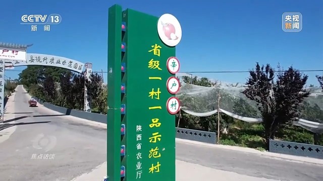 卖产品→卖品牌看延安如何把苹果树变成“摇钱树”(图9)