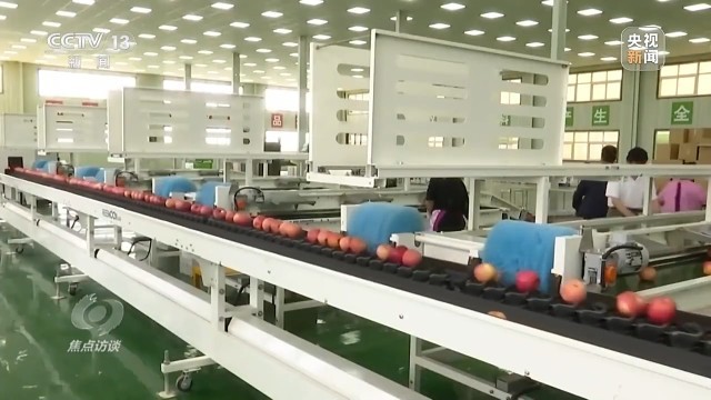 卖产品→卖品牌看延安如何把苹果树变成“摇钱树”(图15)