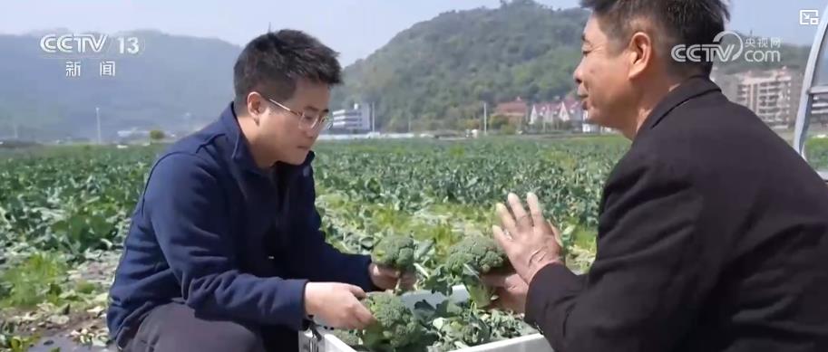 春季农田新景象：“一分田”开出多种“花”特色农业“种”出新希望(图2)