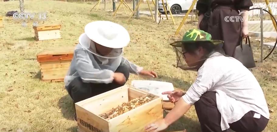 春季农田新景象：“一分田”开出多种“花”特色农业“种”出新希望(图4)