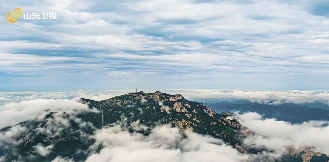 灼言｜齐鲁脊梁破浪前行(图1)