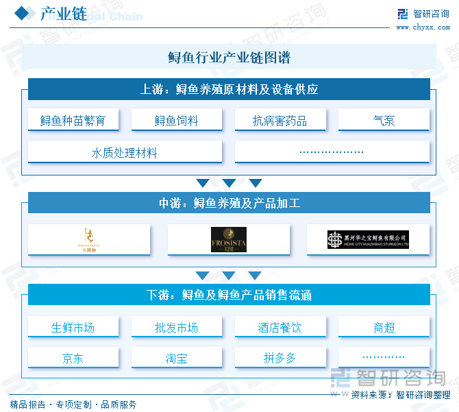 趋势研判！2025年中国鲟鱼行业产业链图谱、市场现状、进出口及未来前景分析：国内鲟鱼养殖规模不断增长行业出口市场加速扩大[图](图2)