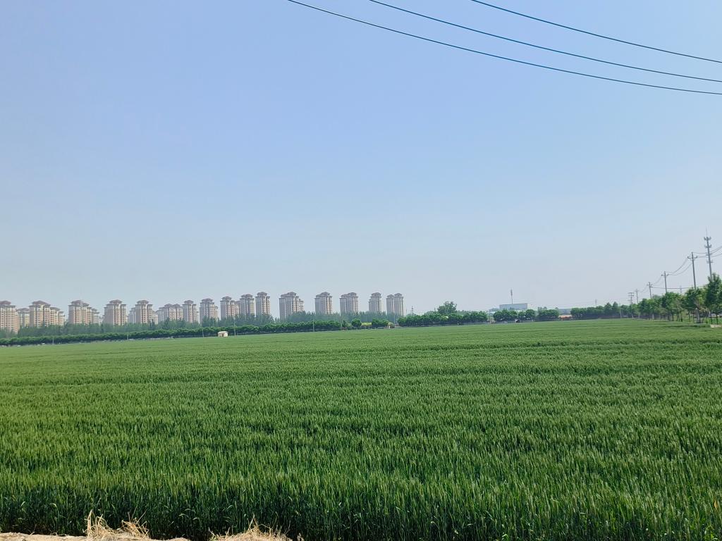 econtent(图1)