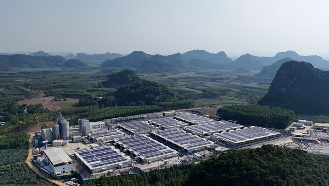 牧原股份2024年营收1379亿净利润达179亿坚定践行绿色低碳发展理念(图1)