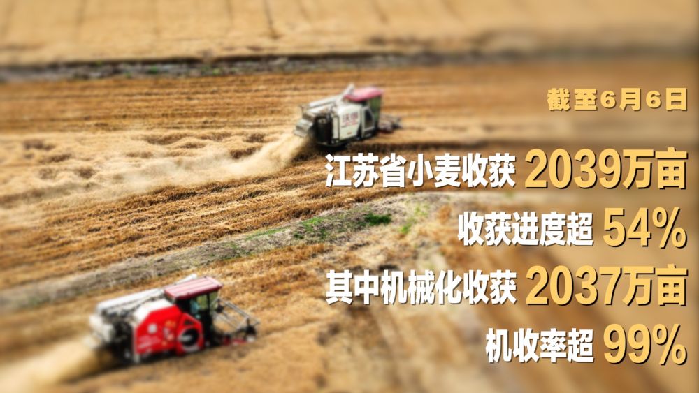 “三夏”农忙时节“数”看各地丰收图景(图7)
