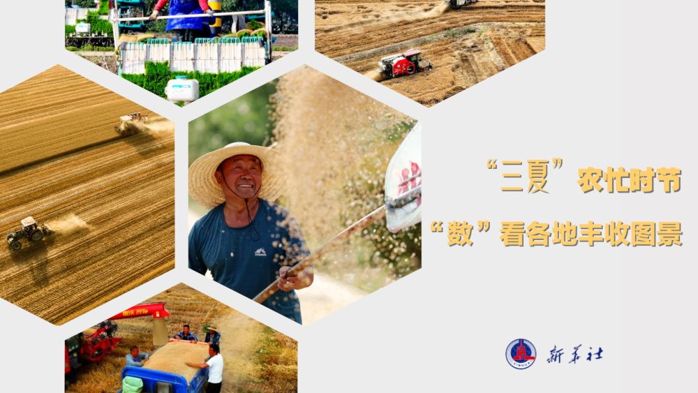 “三夏”农忙时节“数”看各地丰收图景(图1)