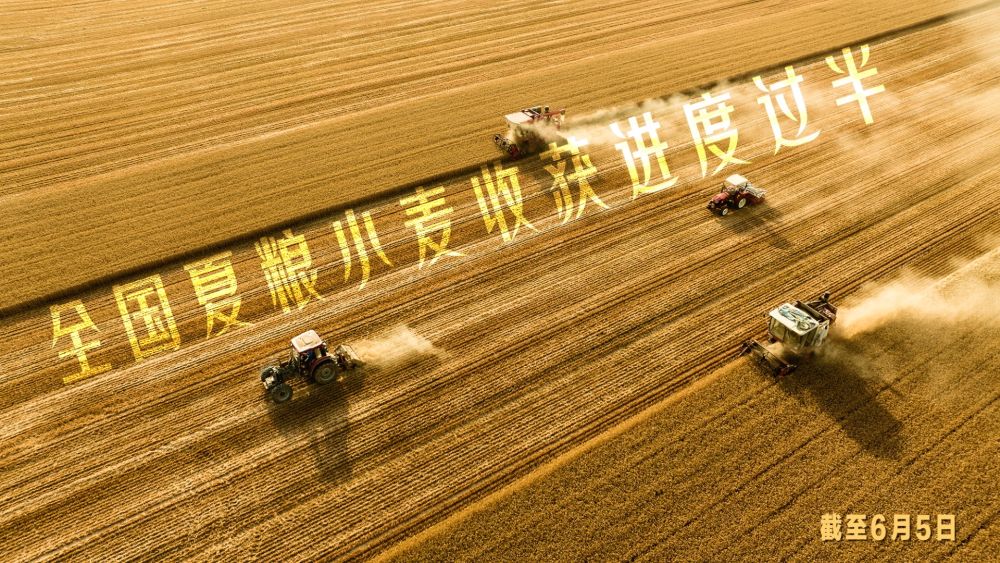 “三夏”农忙时节“数”看各地丰收图景(图11)