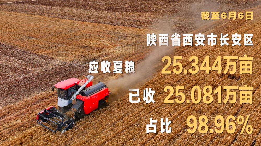“三夏”农忙时节“数”看各地丰收图景(图3)