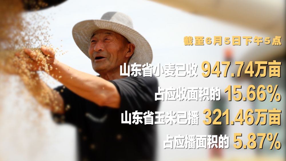 “三夏”农忙时节“数”看各地丰收图景(图6)