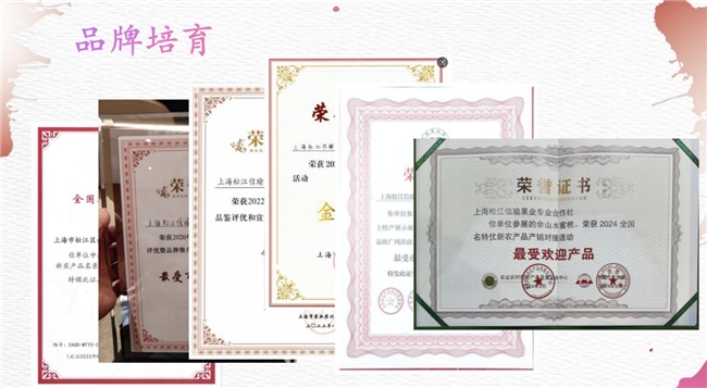 科技赋能+生态创新：松江信瑜合作社引领现代农业新风潮(图3)