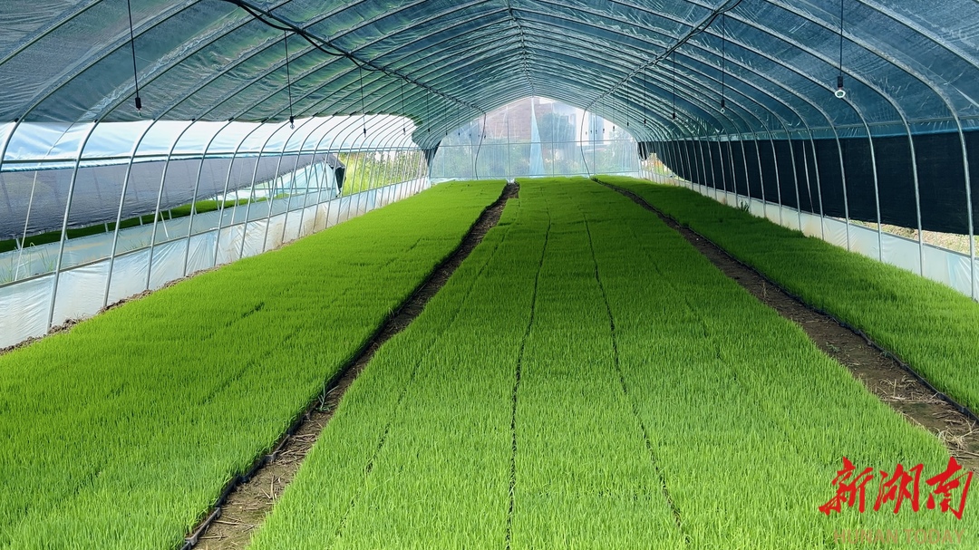 资兴市回龙山供销合作社入选全国典型案例(图3)