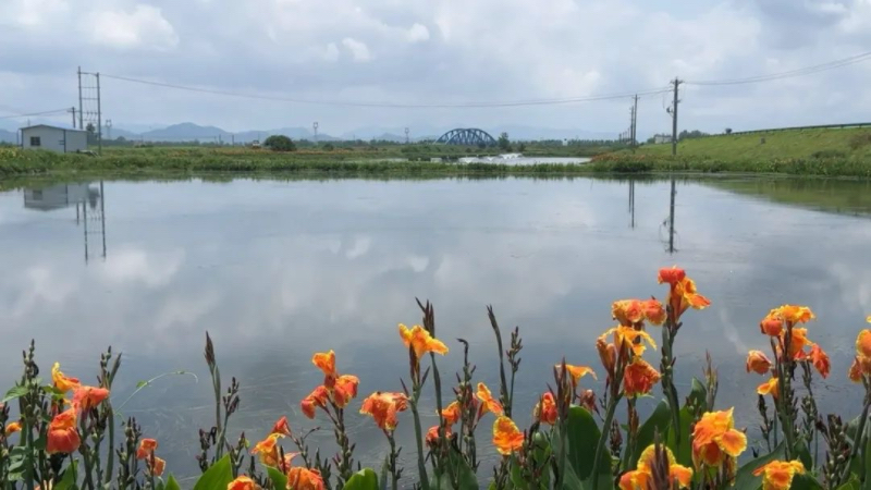 生态水科技芯航空链鄂州梁子湖“健身鱼”游出产业新高度(图3)