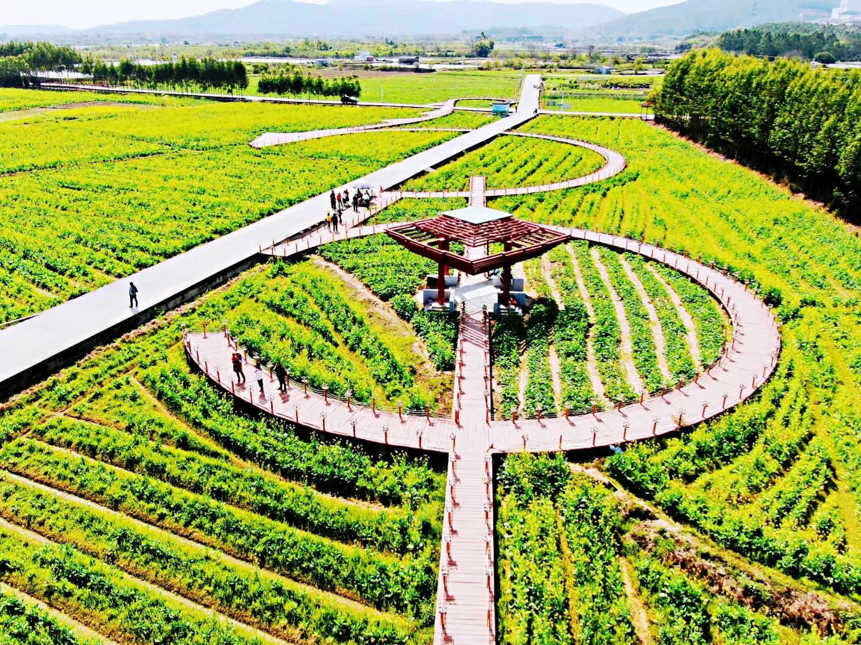 广州花都区赤坭镇：探索乡镇层级美丽中国实践路径(图9)