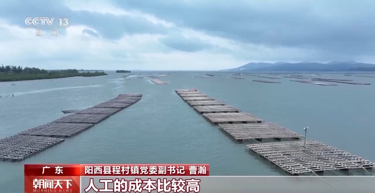 大市场 大活力丨“五一”假日餐桌海鲜热度揭秘 生蚝如何抢“鲜”出发？(图2)
