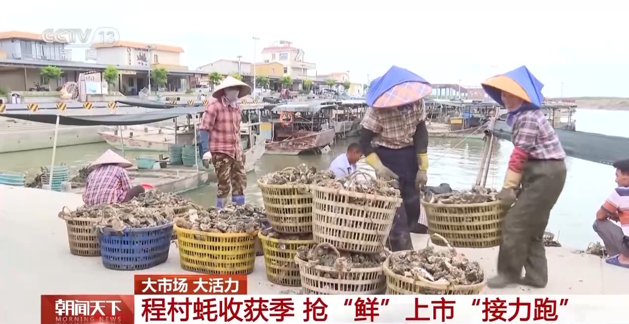 大市场 大活力丨“五一”假日餐桌海鲜热度揭秘 生蚝如何抢“鲜”出发？(图4)