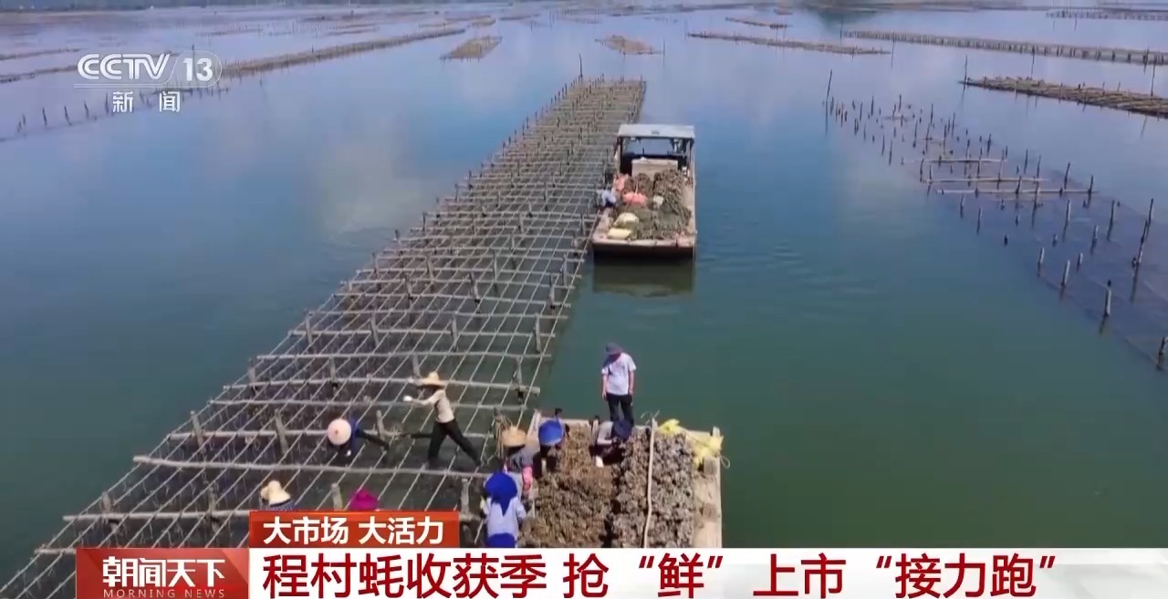 大市场 大活力丨“五一”假日餐桌海鲜热度揭秘 生蚝如何抢“鲜”出发？(图6)