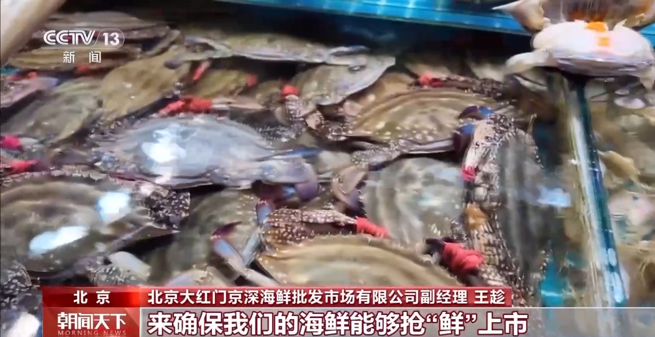 大市场 大活力丨“五一”假日餐桌海鲜热度揭秘 生蚝如何抢“鲜”出发？(图10)
