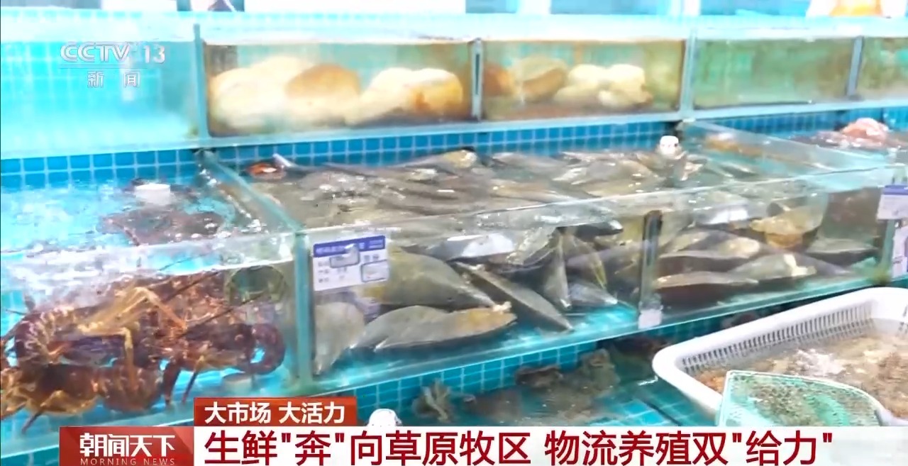 大市场 大活力丨“五一”假日餐桌海鲜热度揭秘 生蚝如何抢“鲜”出发？(图12)