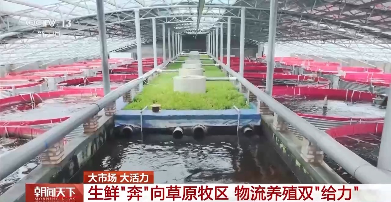 大市场 大活力丨“五一”假日餐桌海鲜热度揭秘 生蚝如何抢“鲜”出发？(图13)
