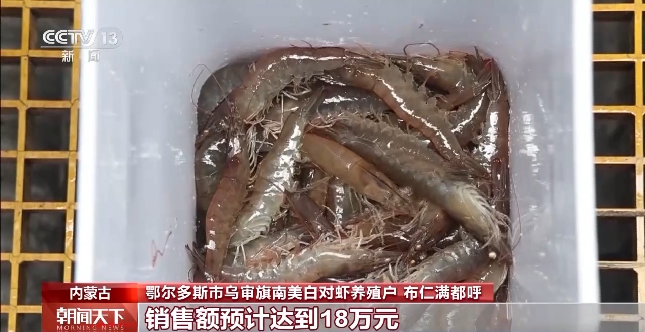 大市场 大活力丨“五一”假日餐桌海鲜热度揭秘 生蚝如何抢“鲜”出发？(图14)
