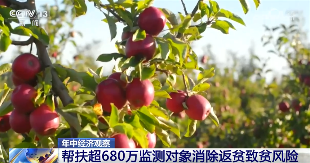就业帮扶、产业帮扶不断拓宽群众增收“路”脱贫攻坚成果持续巩固拓展(图9)