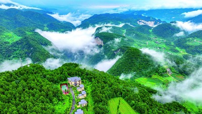 重庆市涪陵区武陵山镇乐道村：武陵山上避暑经济热(图1)