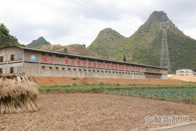 安顺市高质量推进东西部协作助力乡村振兴(图3)