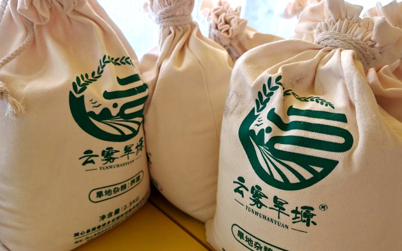 小雜糧“攪活”旱塬振興石塘嶺村走出特色致富路(图2)