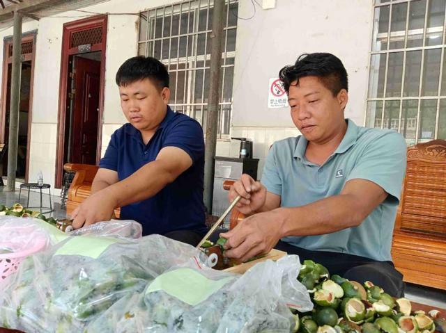 云南镇康43万亩坚果园：结出“富民强县”振兴果(图3)