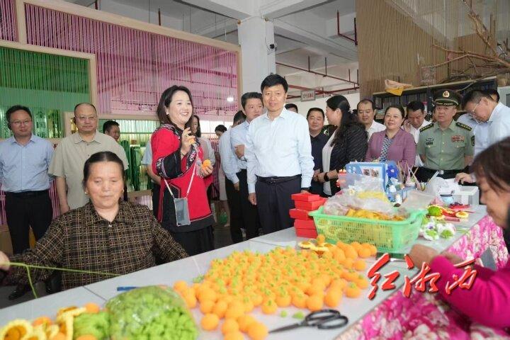 湘西州制造业项目现场观摩会走进古丈龙山保靖花垣(图3)