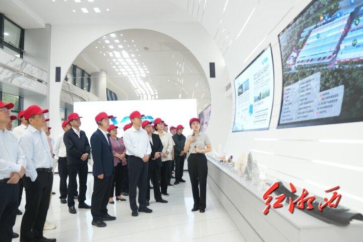 湘西州制造业项目现场观摩会走进古丈龙山保靖花垣(图1)