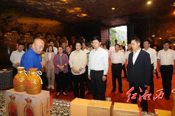 湘西州制造业项目现场观摩会走进古丈龙山保靖花垣(图2)