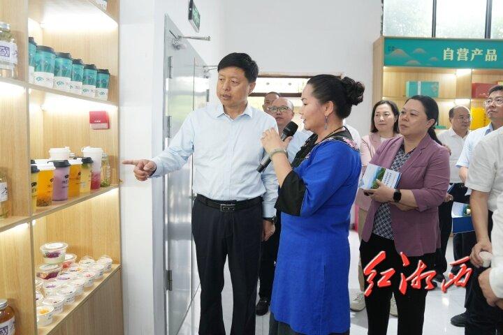 湘西州制造业项目现场观摩会走进古丈龙山保靖花垣(图4)