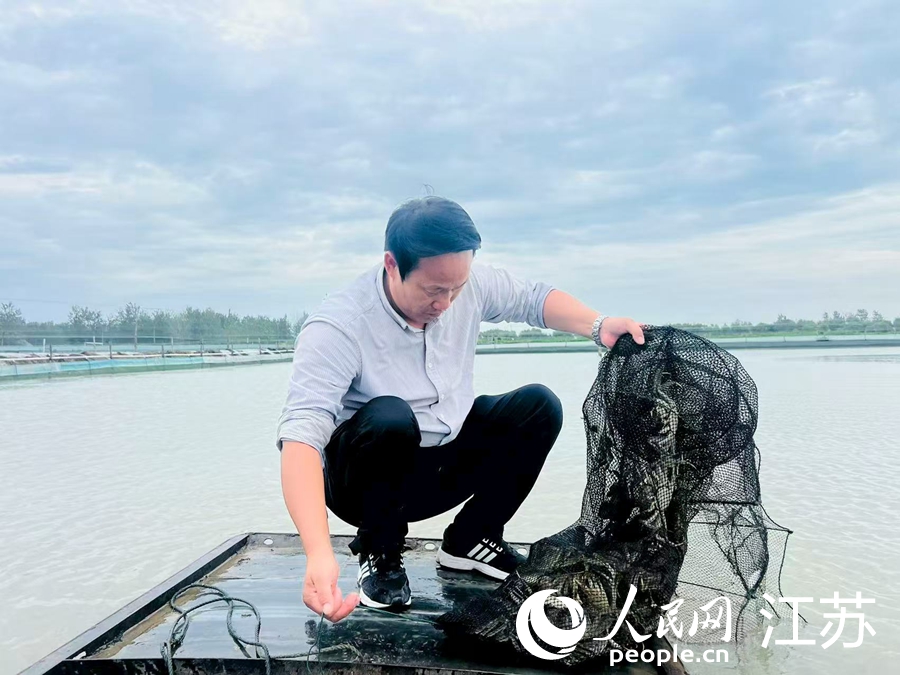 江苏泗洪：全民创业绽繁花(图1)