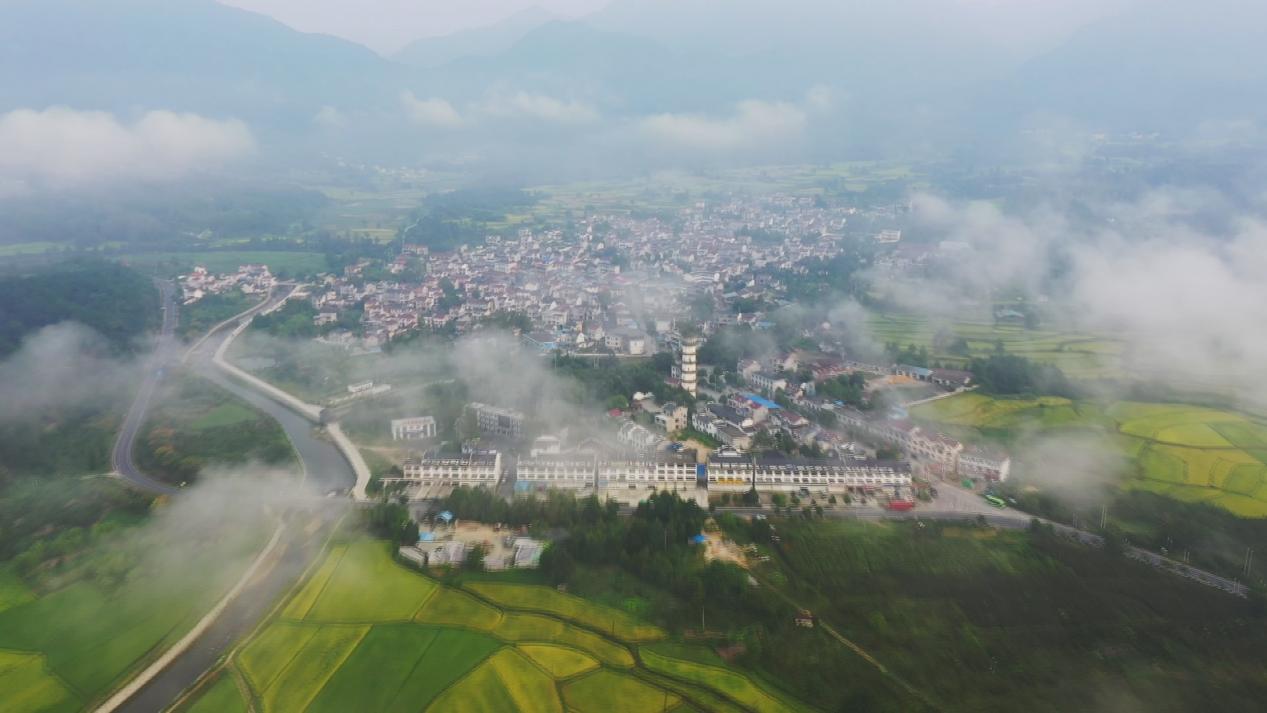 宣城旌德：興隆特色產業賦能鄉村振興新圖景(图1)