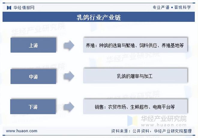 2025年中国乳鸽行业出栏量、重点企业分析及行业发展趋势(图1)