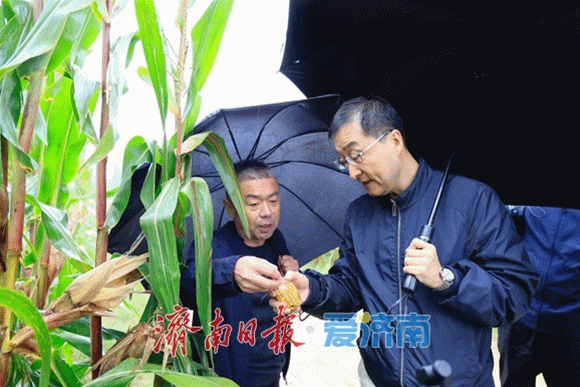 连续阴雨天济南正在抢着干这件大事(图2)