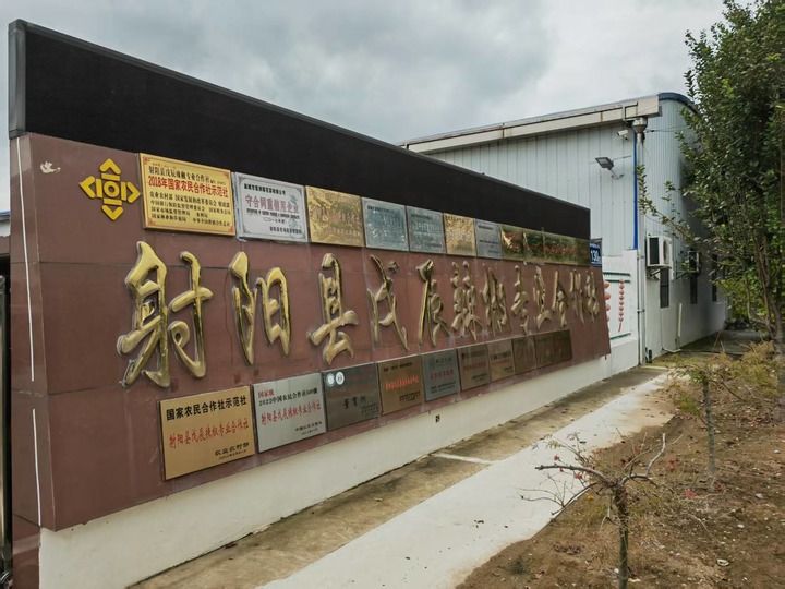 邮储银行江苏分行：惠农助企创新赋能乡村全面振兴(图1)