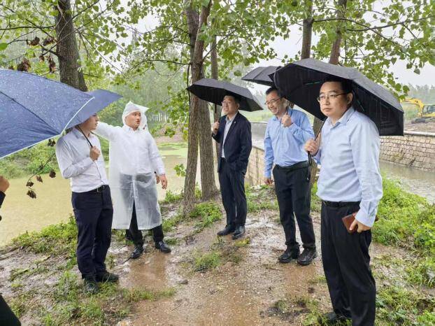 秋收遇上阴雨天丨平安产险山东分公司积极应对全力保障农民秋粮归仓(图2)