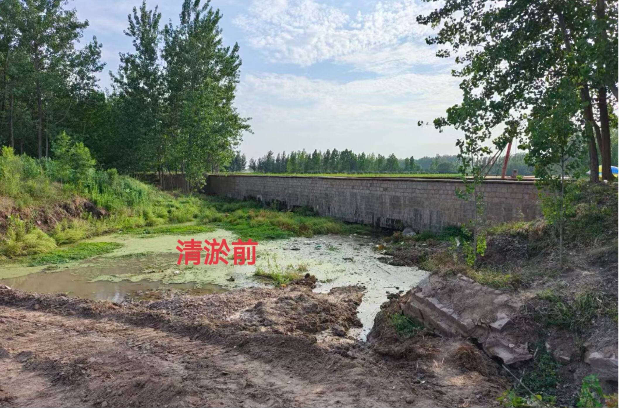 秋收遇上阴雨天丨平安产险山东分公司积极应对全力保障农民秋粮归仓(图3)