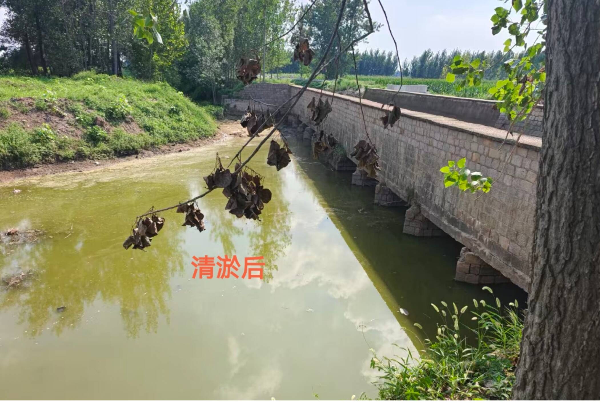 秋收遇上阴雨天丨平安产险山东分公司积极应对全力保障农民秋粮归仓(图4)